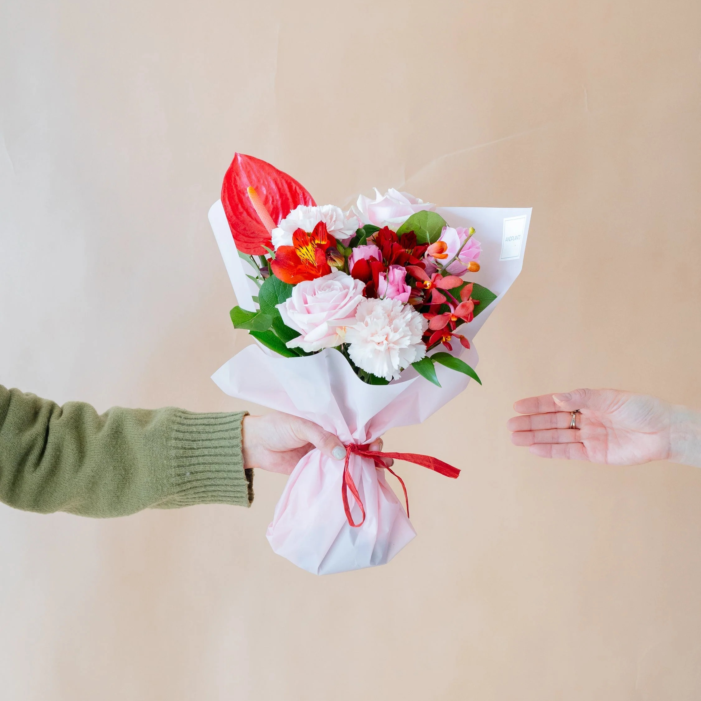 【母の日】バラとカーネーションの花束 - ピンク＆レッド - | AND PLANTS