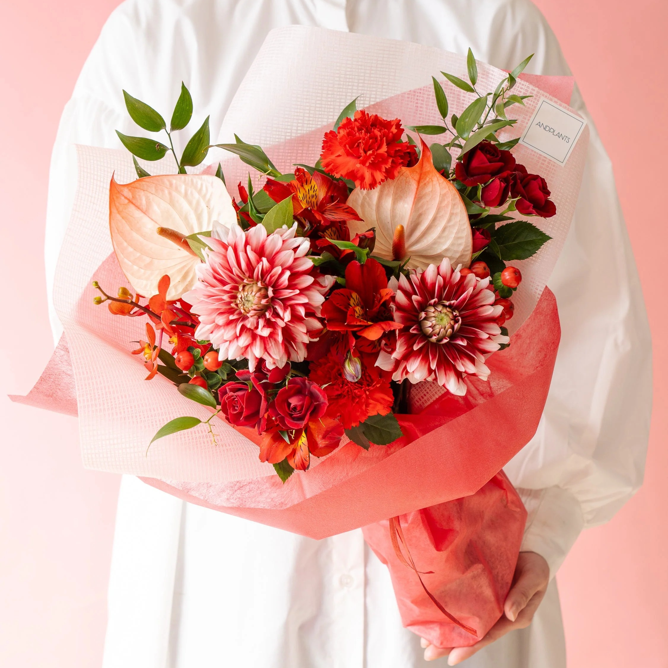 【母の日】ダリアのブーケ  - レッド - | AND PLANTS
