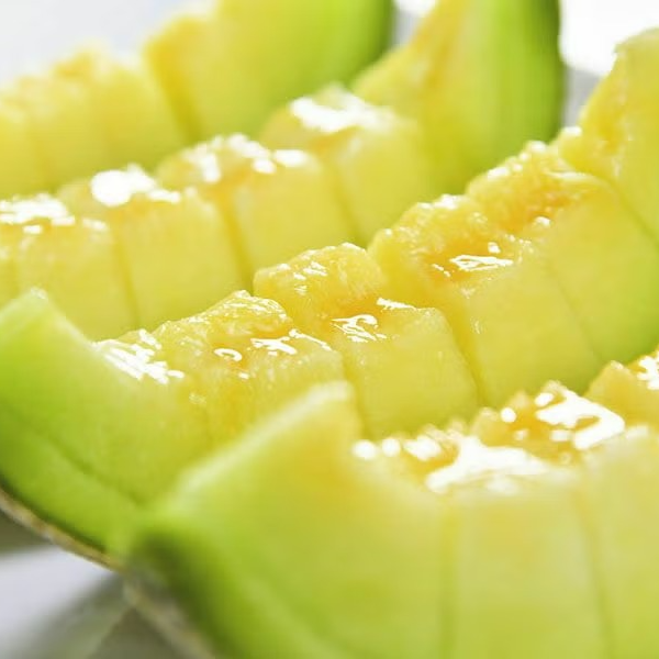 一果相伝マスクメロン1.4kg | 一果相伝