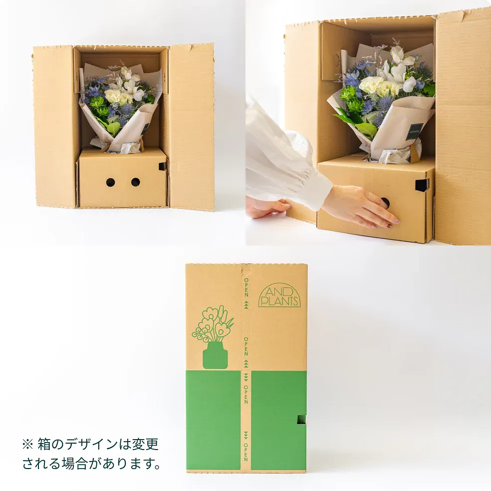 【母の日】そのまま飾れる花束 - ピンク&レッド - | アンドプランツ