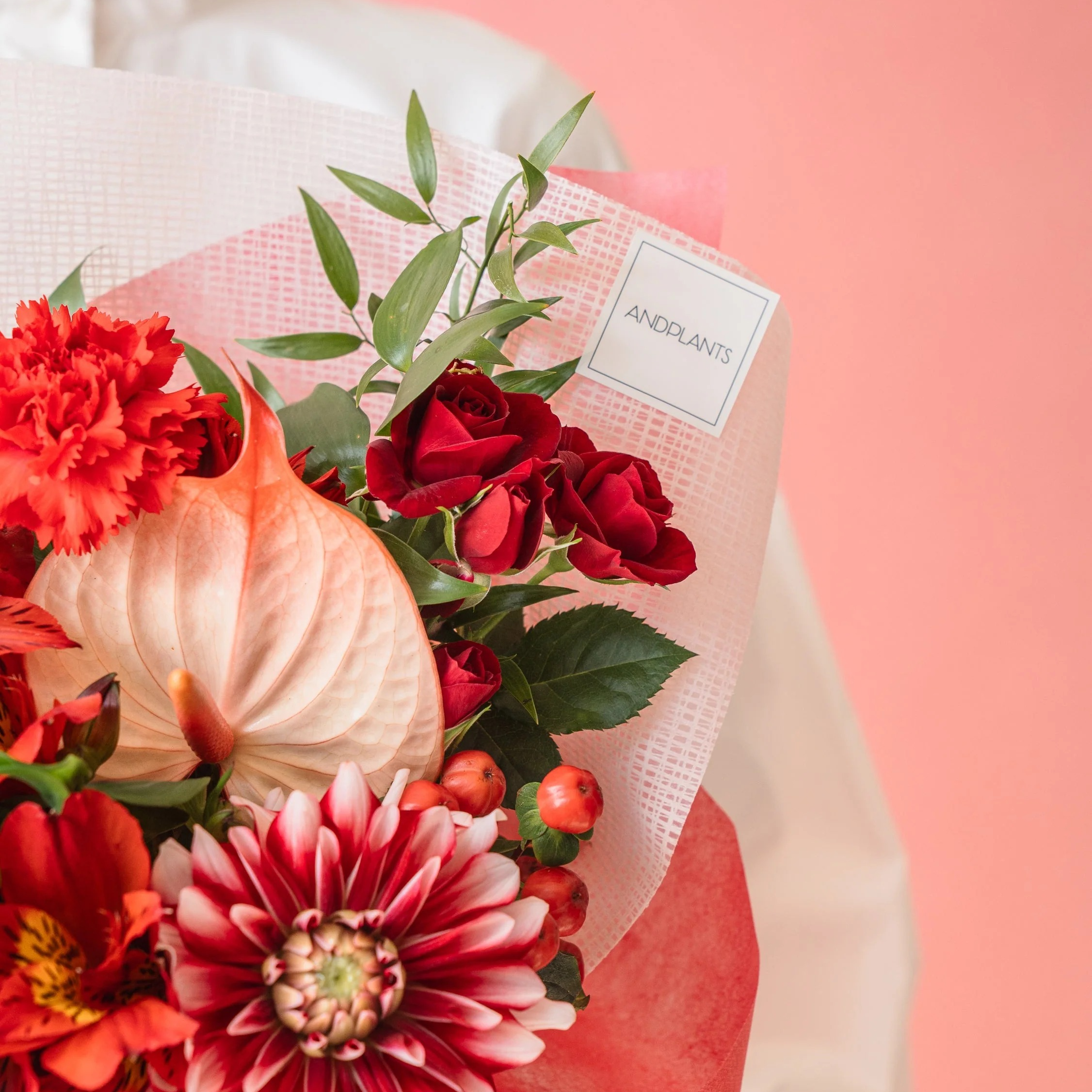【母の日】ダリアのブーケ  - レッド - | AND PLANTS