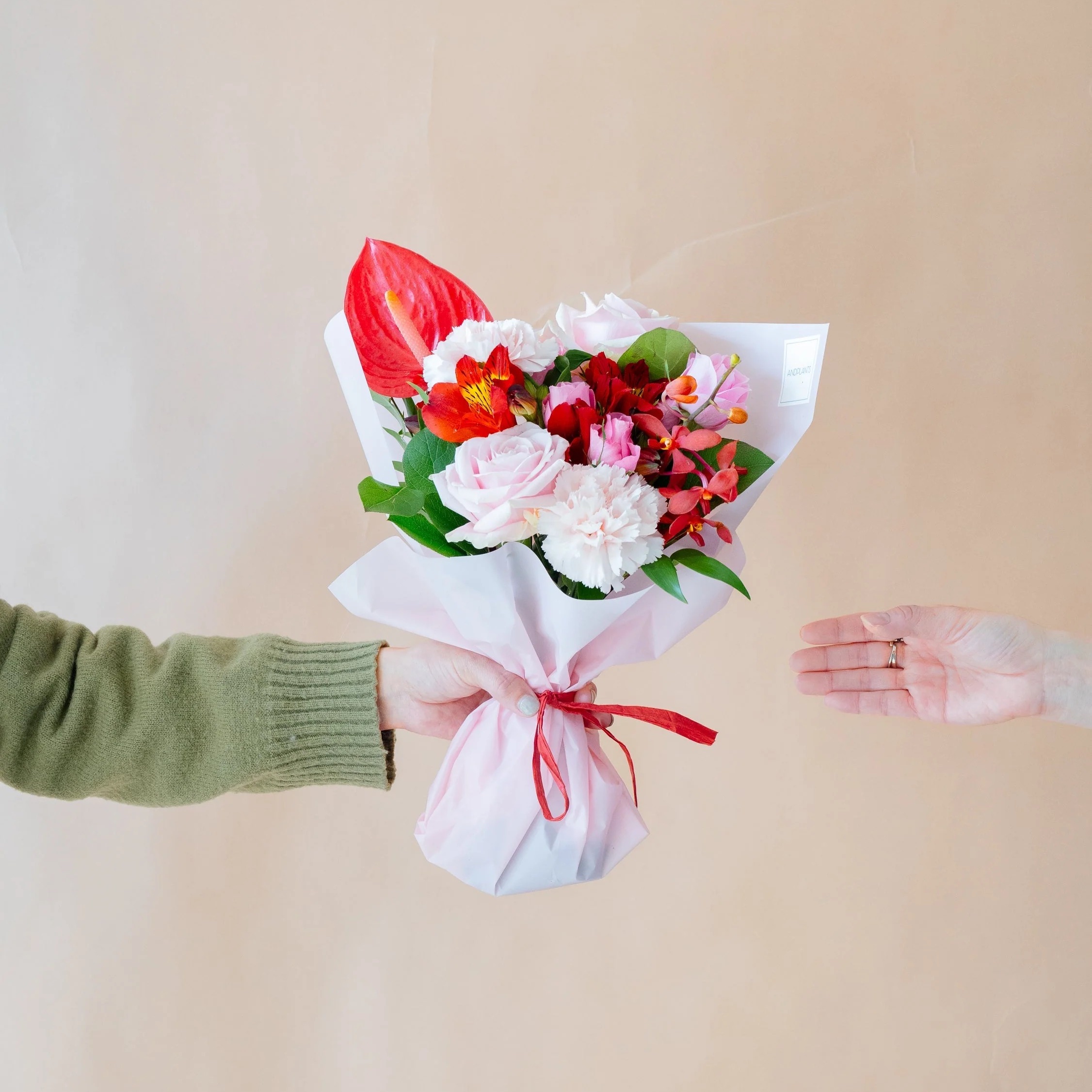 【母の日】バラとカーネーションの花束 - ピンク＆レッド - | AND PLANTS