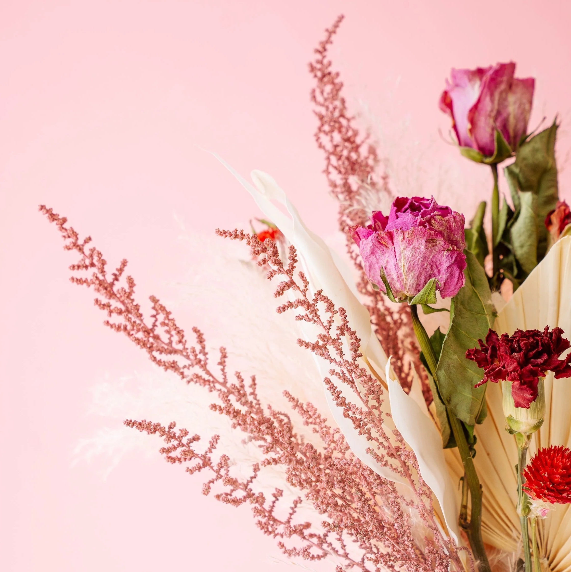 【母の日】花瓶に飾れる ドライフラワーの花束 | AND PLANTS