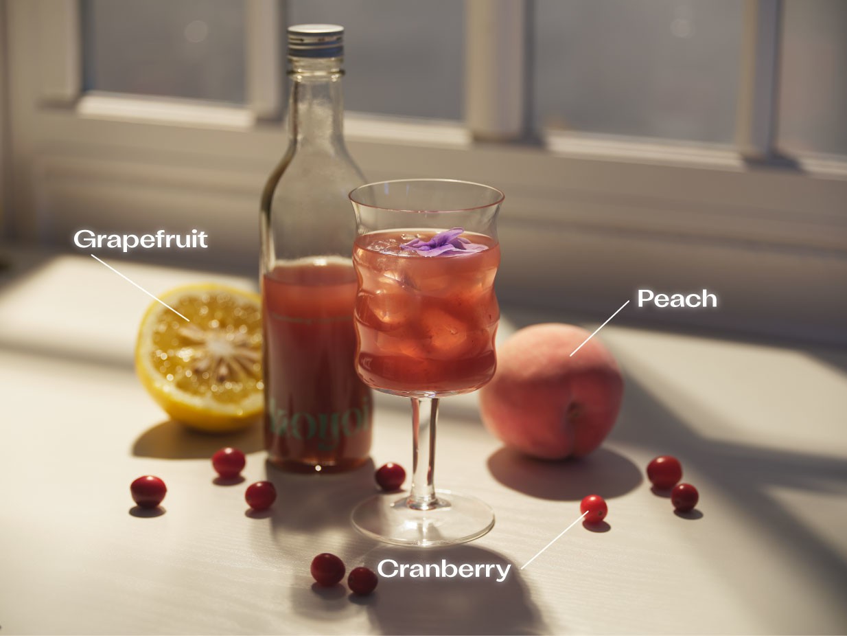 とろけるフルーツカクテル 2本セット | koyoi