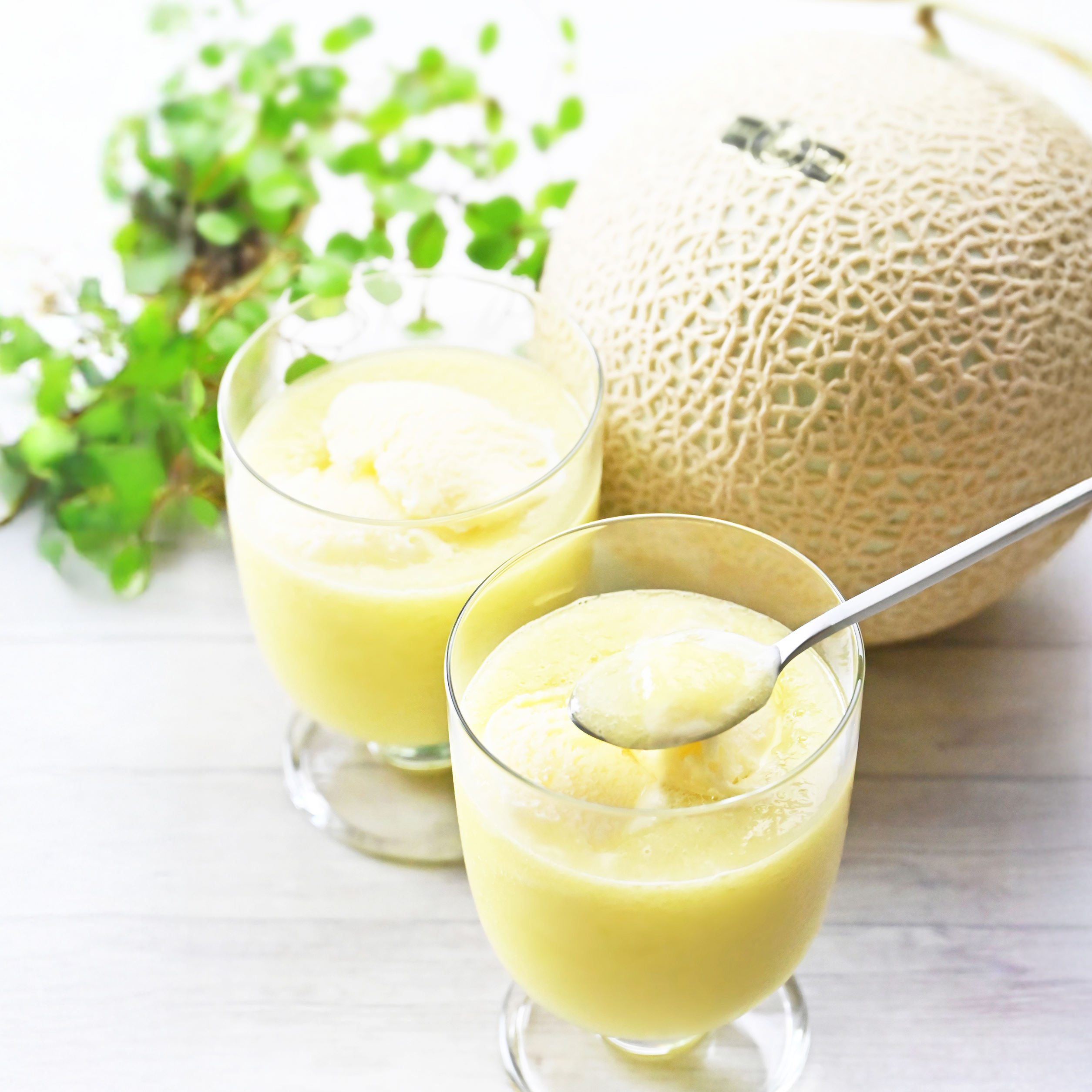 生搾り完熟マスクメロンピューレとバニラアイスのセット | 一果相伝