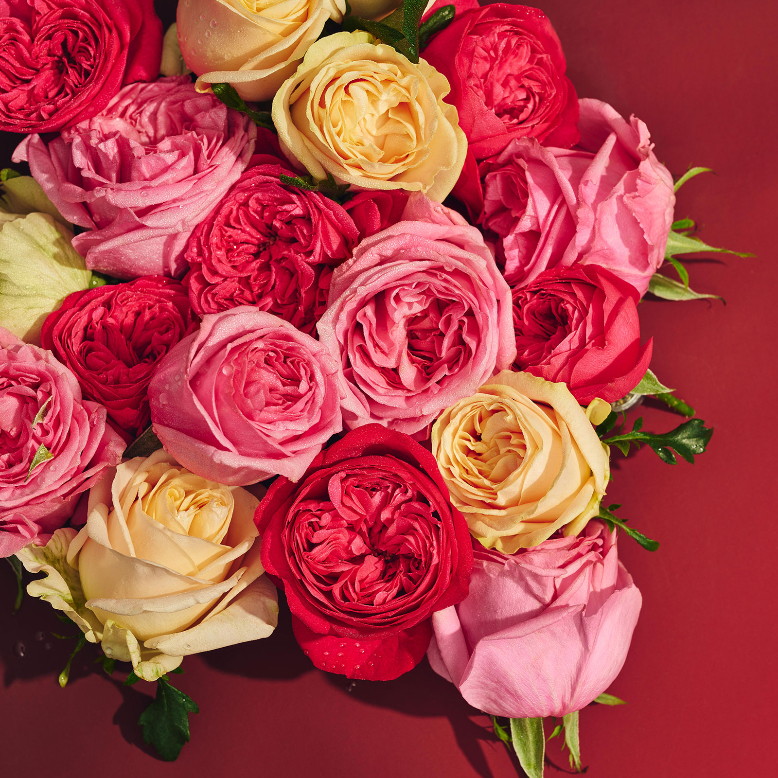 ローズ ボディオイル ＜Limited Edition＞ 200mL | Jurlique