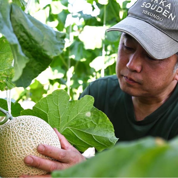 一果相伝マスクメロン2玉 3.2kg | 一果相伝