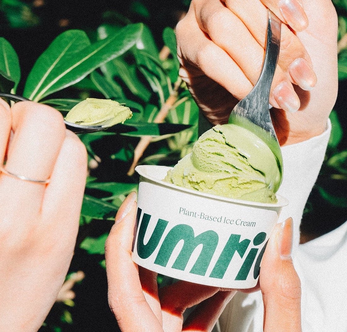 プラントベースアイス yumrich 12個セット | yumrich