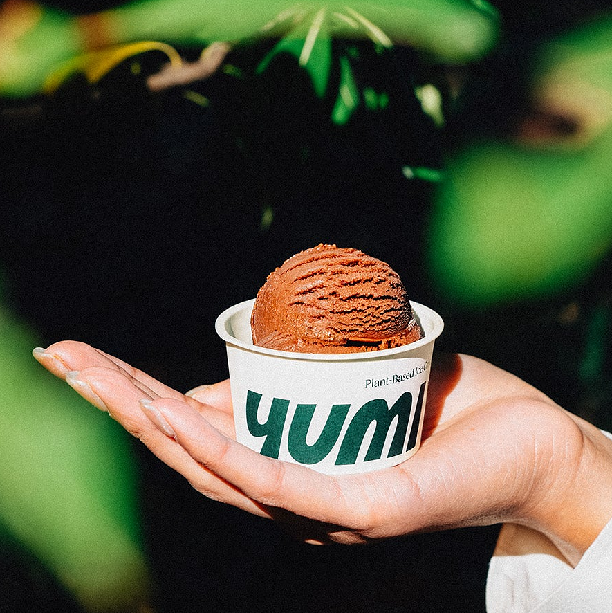 プラントベースアイス yumrich 12個セット | yumrich