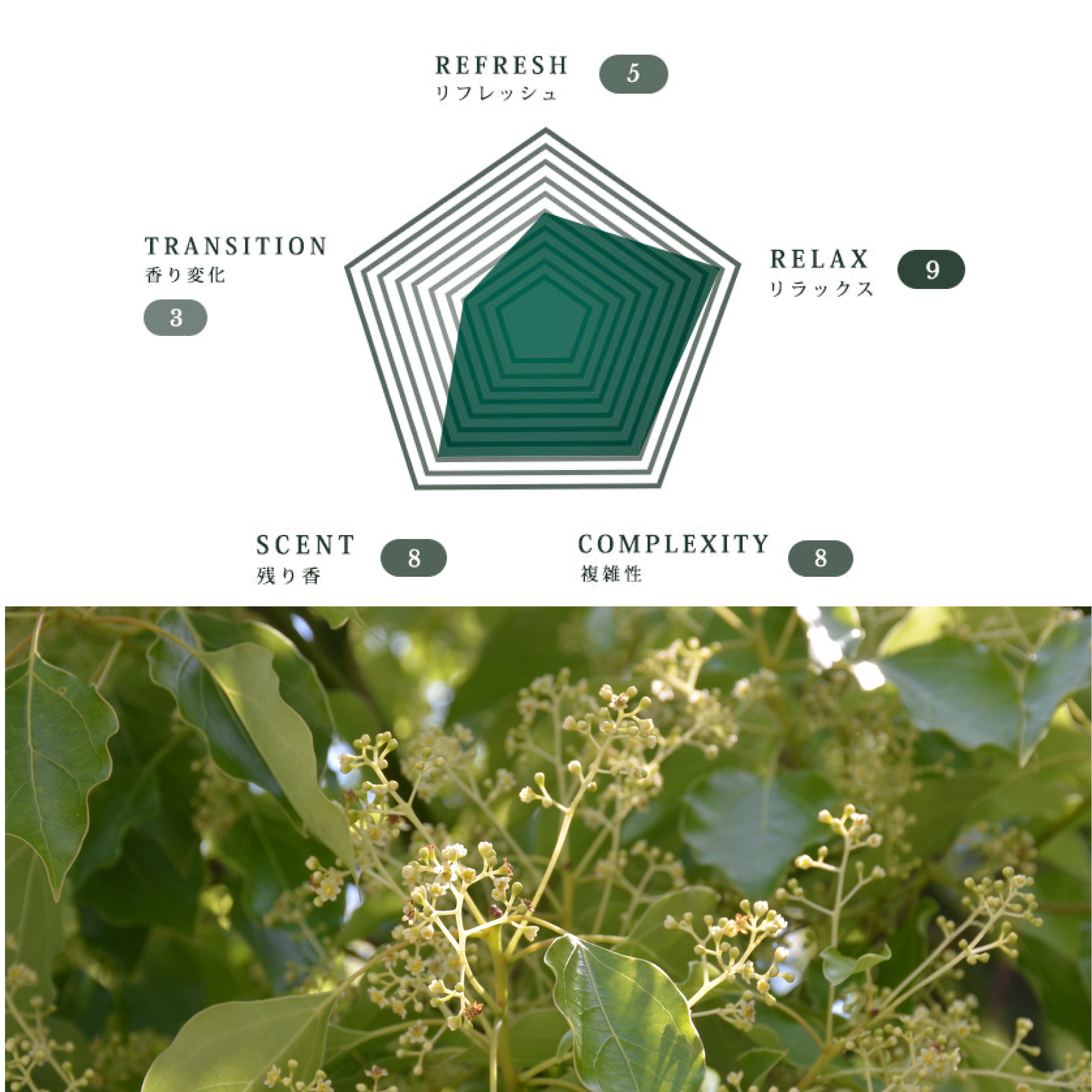 肌に優しいファブリックミスト 2本セット | Komons