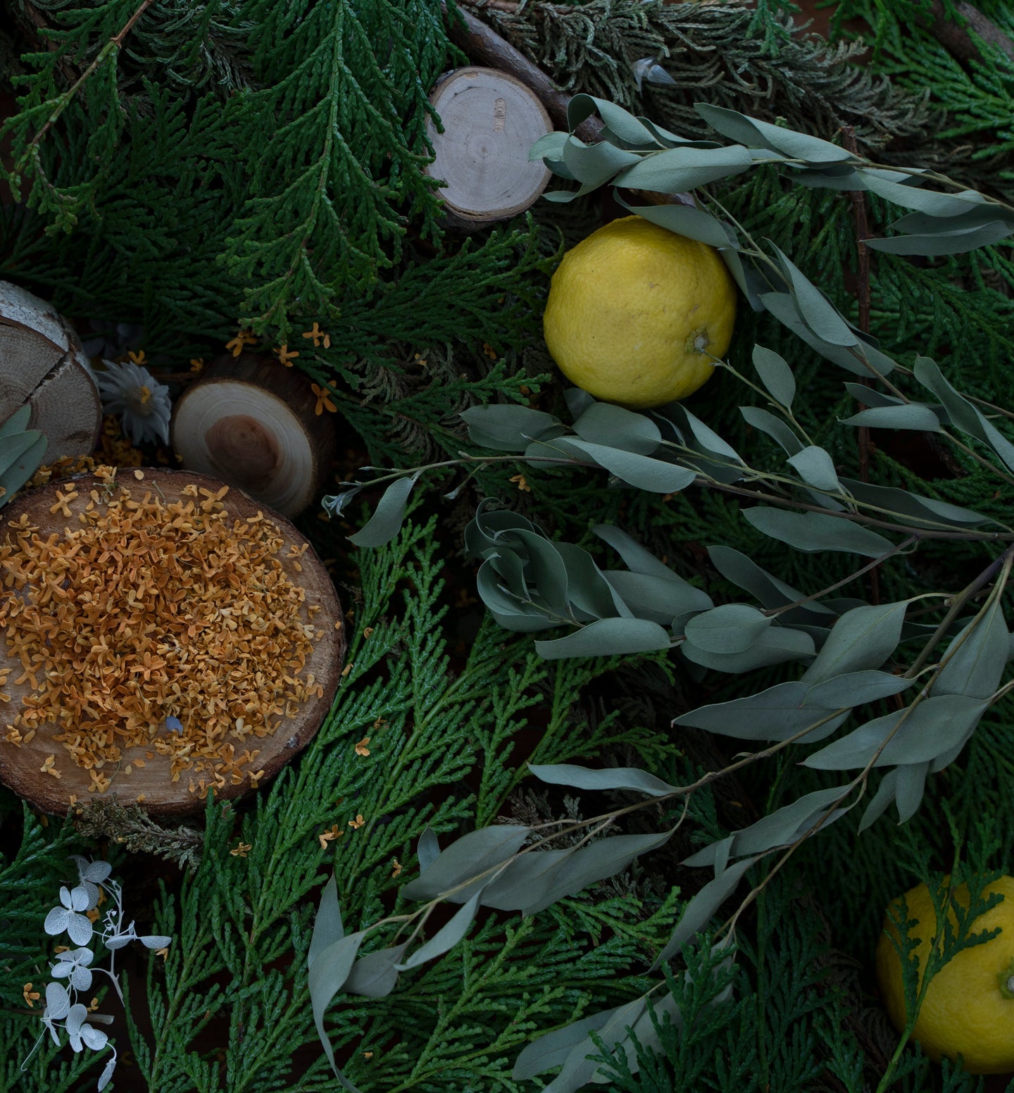 肌に優しいファブリックミスト 2本セット | Komons