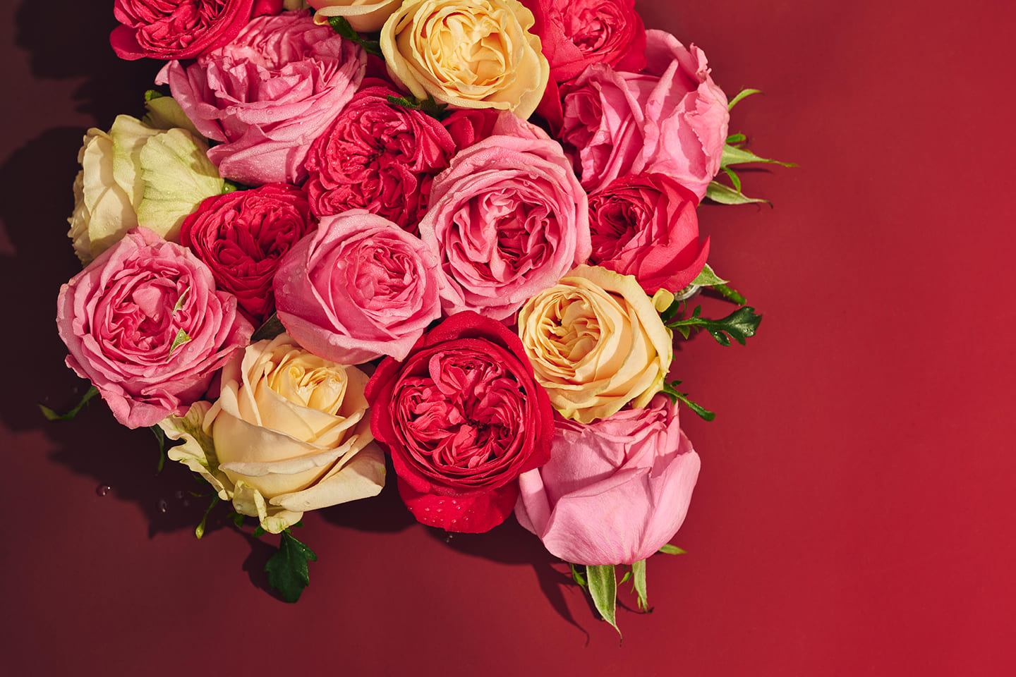 ローズ ボディオイル ＜Limited Edition＞ 200mL | Jurlique