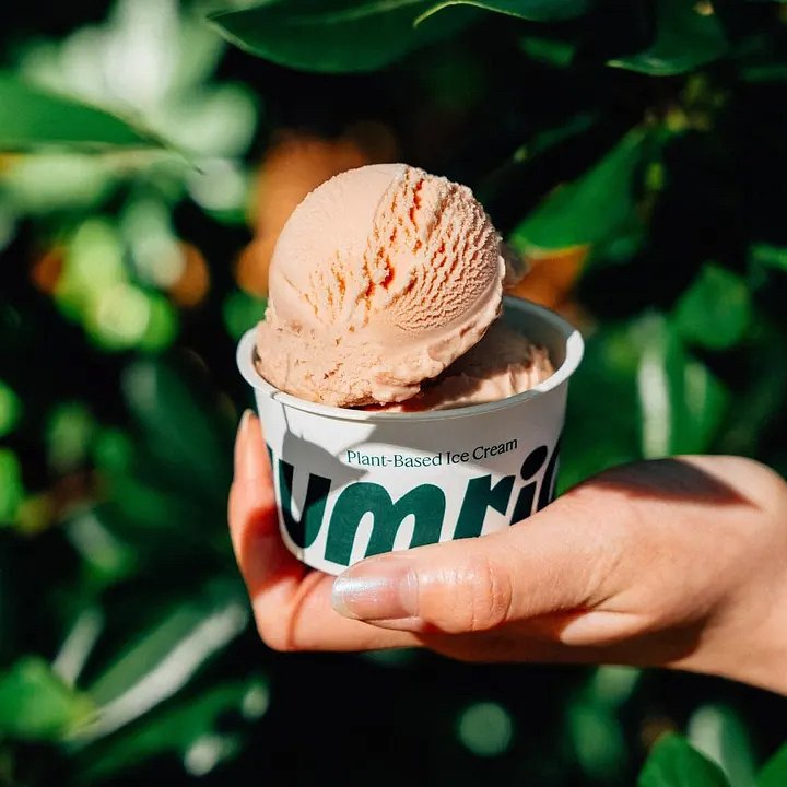 プラントベースアイス yumrich 12個セット | yumrich