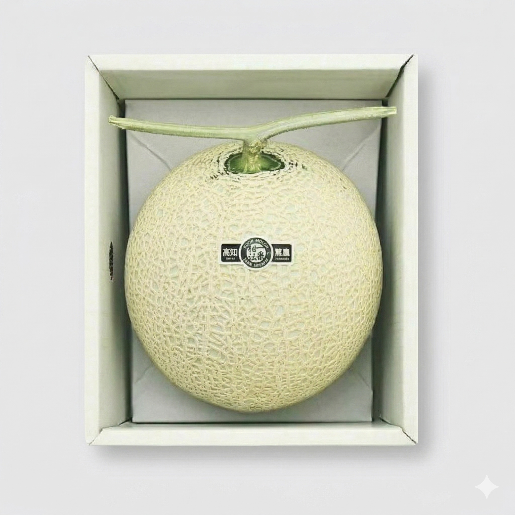 一果相伝マスクメロン1.4kg | 一果相伝