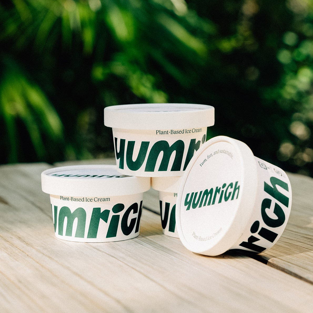 プラントベースアイス yumrich 12個セット | yumrich